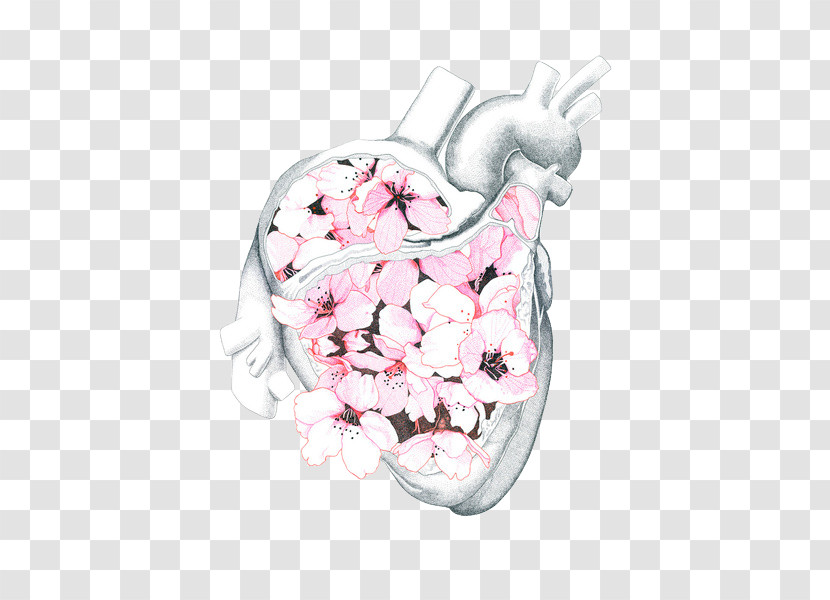 Pink Drawing Plant Heart Sketch Transparent PNG