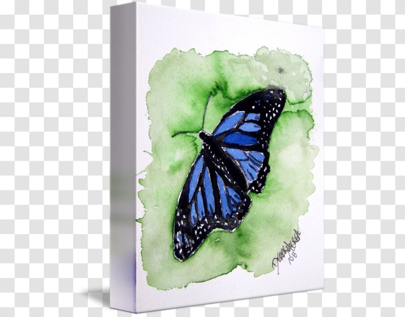 Monarch Butterfly Pieridae Brush-footed Butterflies Canvas Transparent PNG