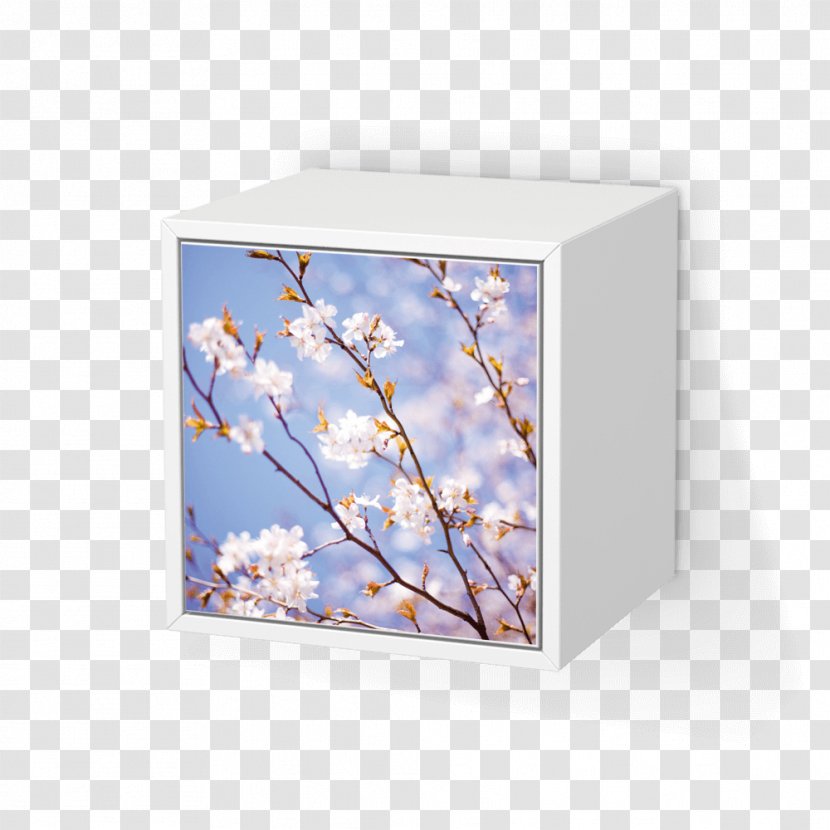 Table Armoires & Wardrobes Door Furniture Bathroom - Cherry Blossom - Apple Products Transparent PNG