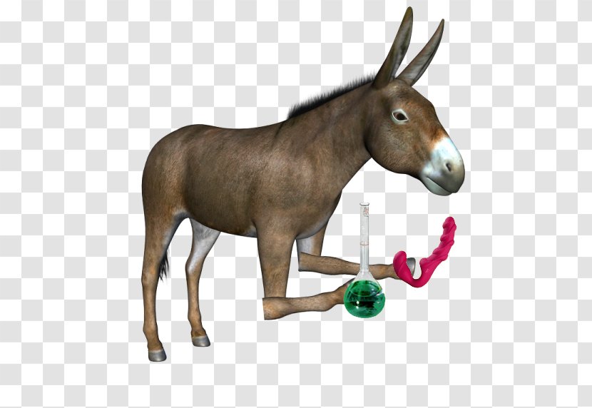 Mule Donkey - Horse Tack Transparent PNG