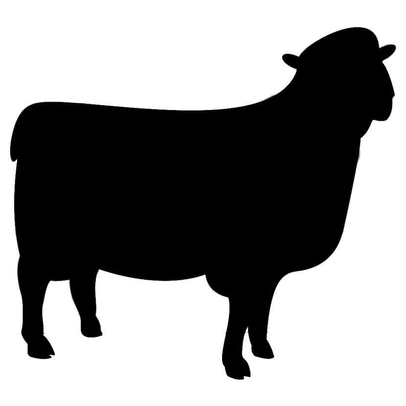 Sheep T-shirt Silhouette Blackboard Shadow - Black And White - Chalkboard Cliparts Shape Transparent PNG