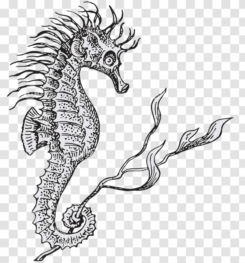 Lined Seahorse Hippocampus Illustration - Line Art - Black And White Sketch Of The Monster Transparent PNG