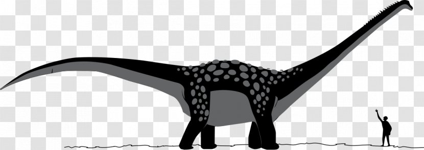 Antarctosaurus Apatosaurus Late Cretaceous Dinosaur Sauropoda - Velociraptor - Skeleton Driving Transparent PNG