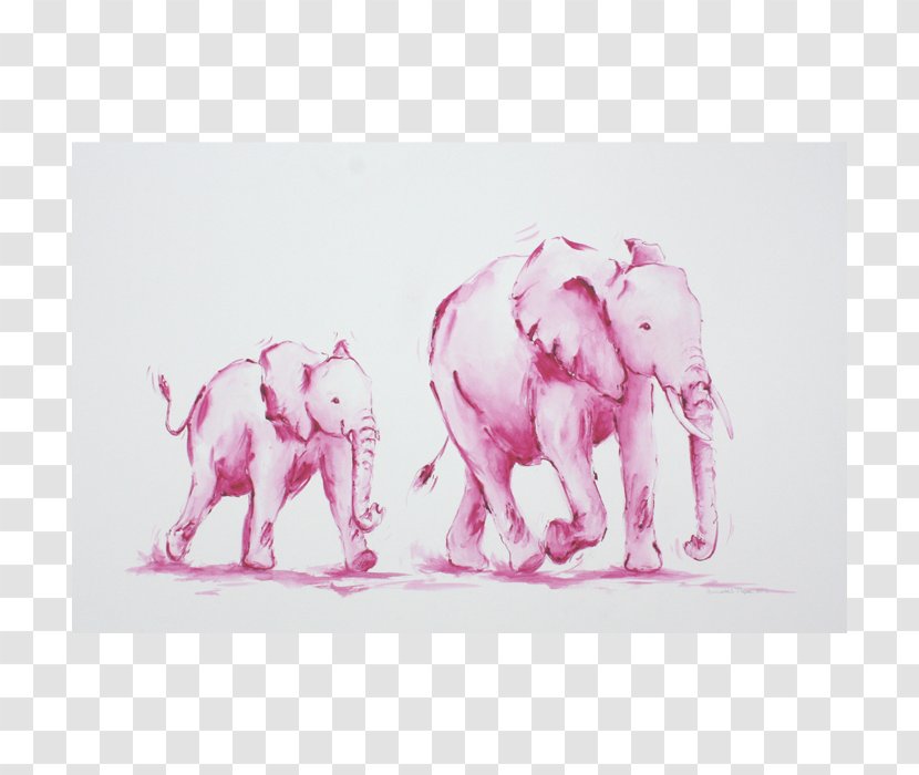 Indian Elephant African Curtiss C-46 Commando Elephantidae Pink M - Elephants And Mammoths - Norfolk Terrier Transparent PNG