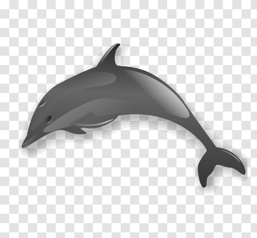 Dolphin Clip Art - Common Bottlenose Transparent PNG