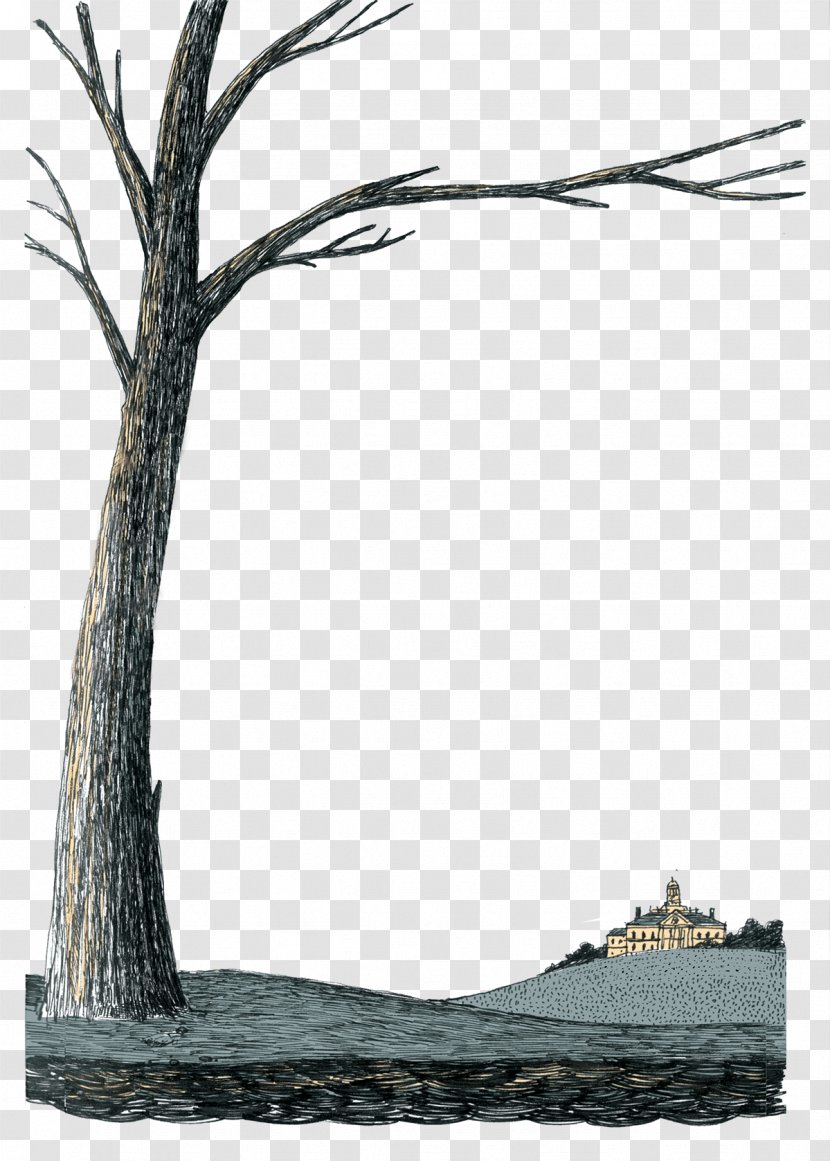 A Separate Peace Boarding School Twig Tree - Parable - Book Transparent PNG