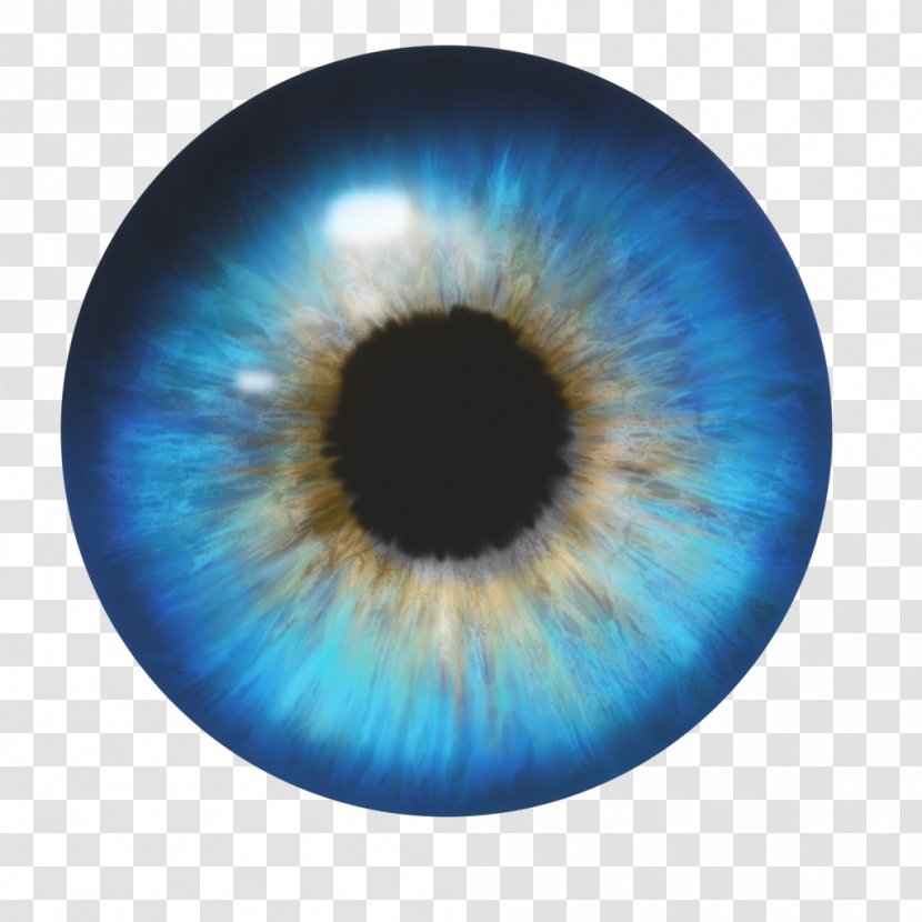 Human Eye - Watercolor - Eyes Transparent PNG