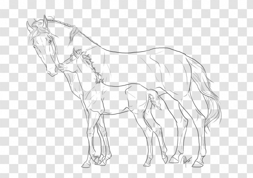 Mule Foal Mare Pintabian Colt - Neck - Horse-drawn Transparent PNG