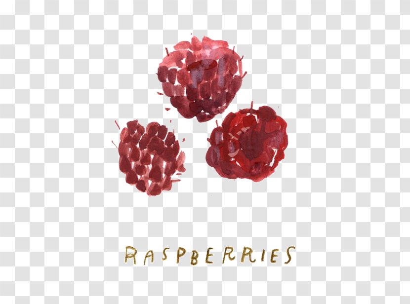 Raspberry Cartoon Illustration - Berry - Graffiti Transparent PNG