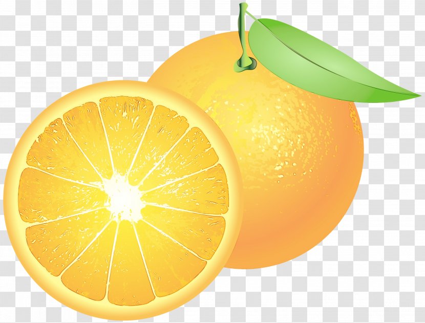 Orange - Paint - Lime Valencia Transparent PNG