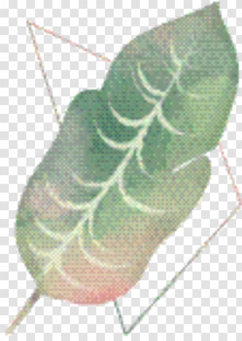 Cartoon Flower - Anthurium - Plant Pathology Transparent PNG