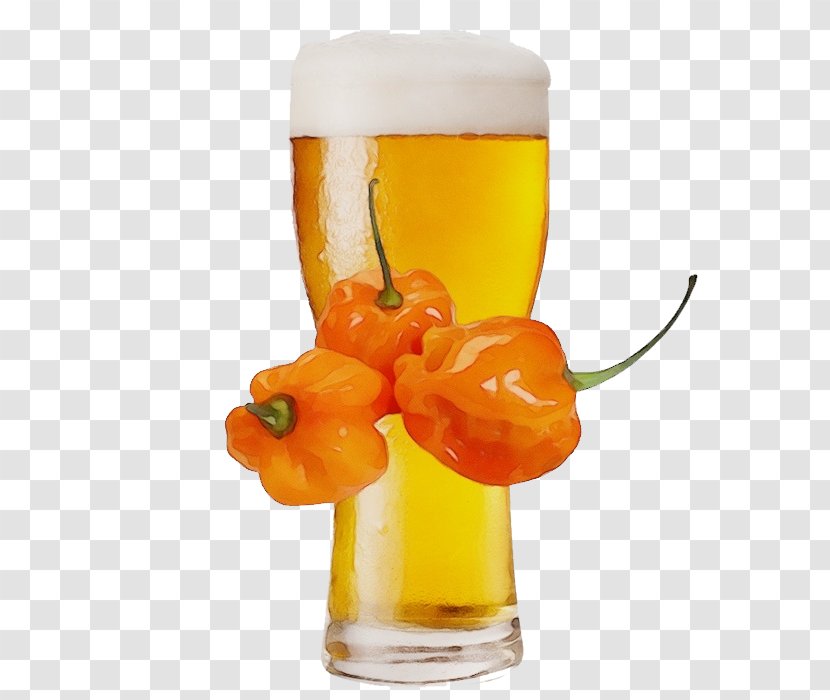 Beer Glass Drink Plant Bell Peppers And Chili Food - Juice Transparent PNG