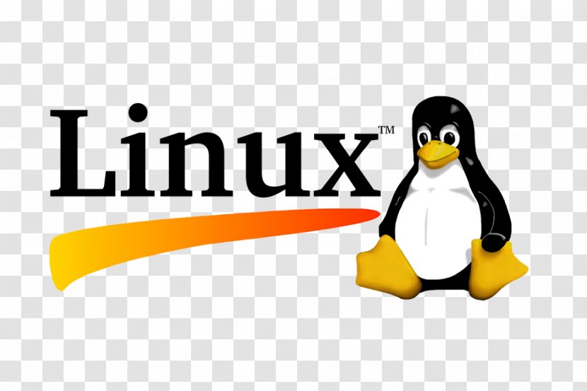 Red Hat Enterprise Linux System Administrator Operating Systems File - Vertebrate - Sumo Transparent PNG