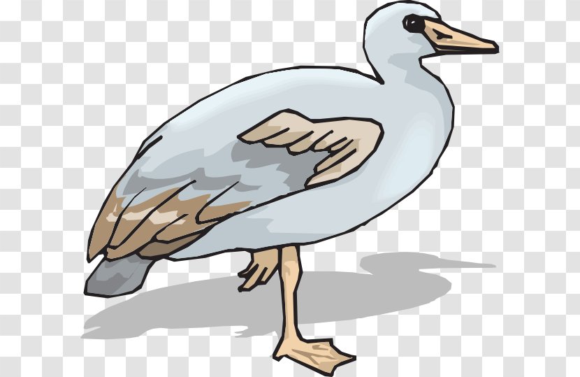 Goose Duck Ganso Clip Art - Ducks Geese And Swans Transparent PNG
