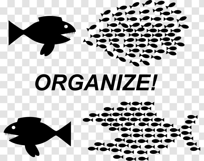 Fish Organization Clip Art - Community - Organise Transparent PNG