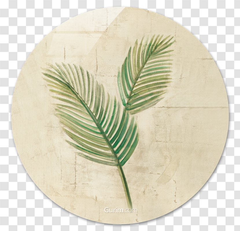 Sago Palm Paper Palm-leaf Manuscript Crop - Monstera Transparent PNG