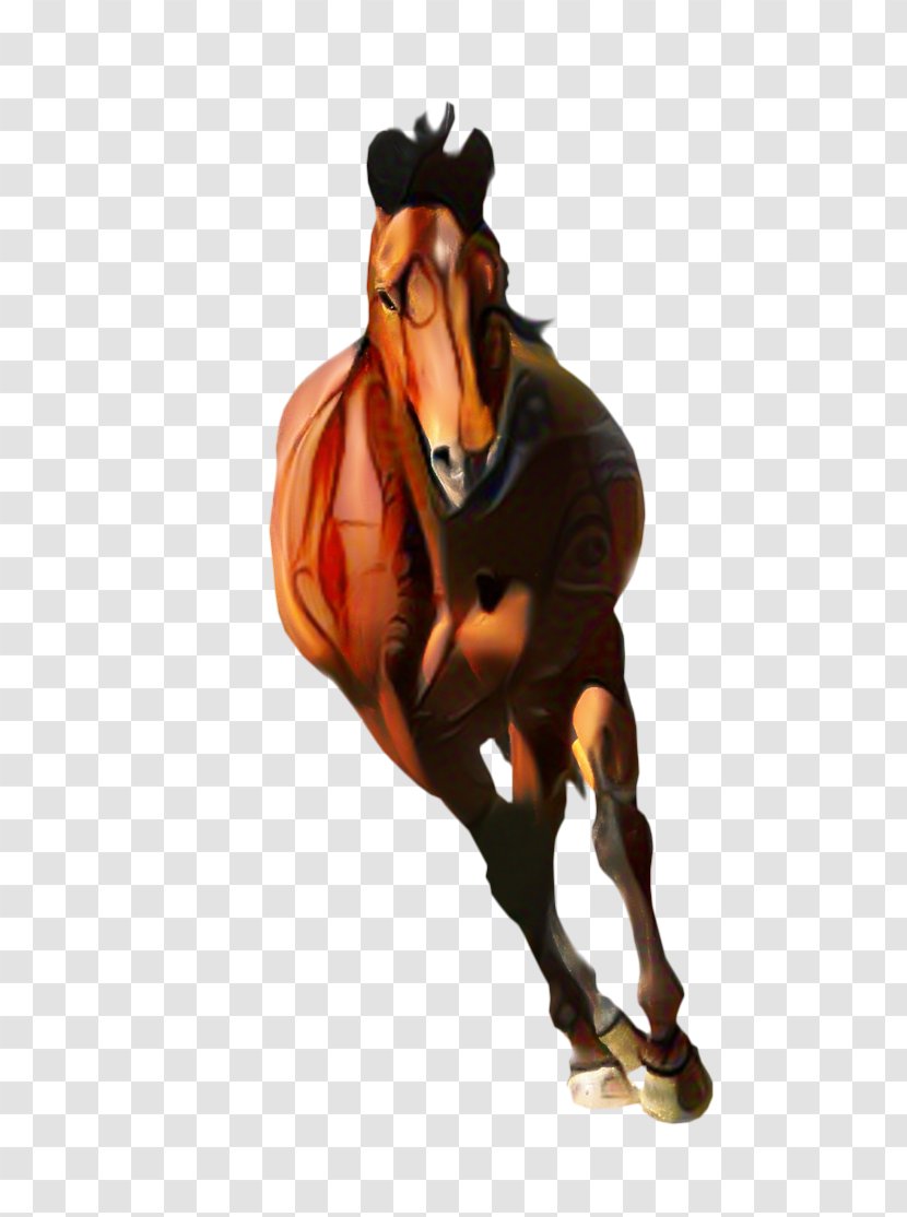 American Football Background - Bridle Figurine Transparent PNG