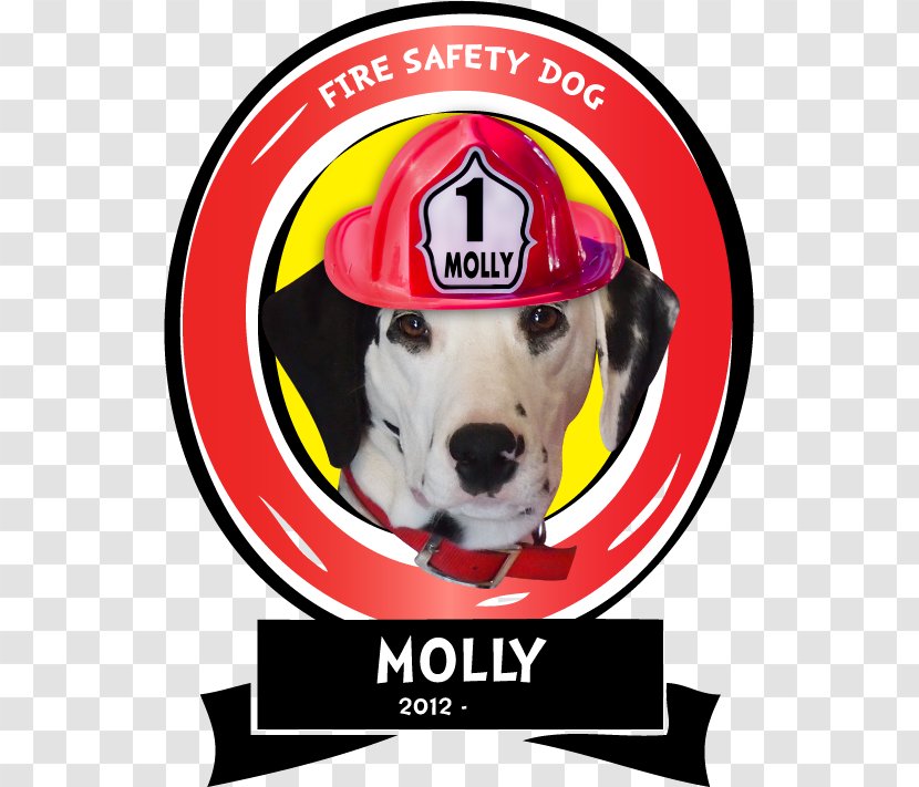 Dalmatian Dog Fire Safety Breed Prevention - Headgear Transparent PNG