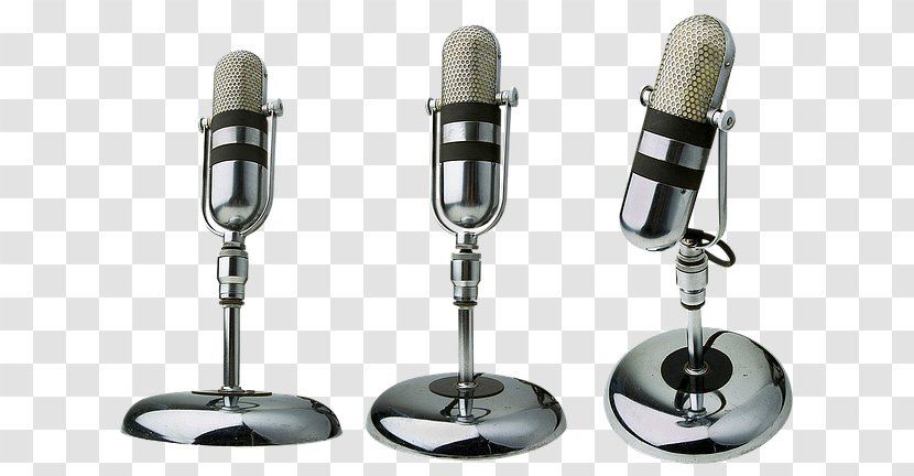 ARTE DA ORATORIA: OS SEGREDOS DO ORADOR DE SUCESSO Microphone Broadcasting Radio Communication - Discourse - Three Silver Physical Map Transparent PNG