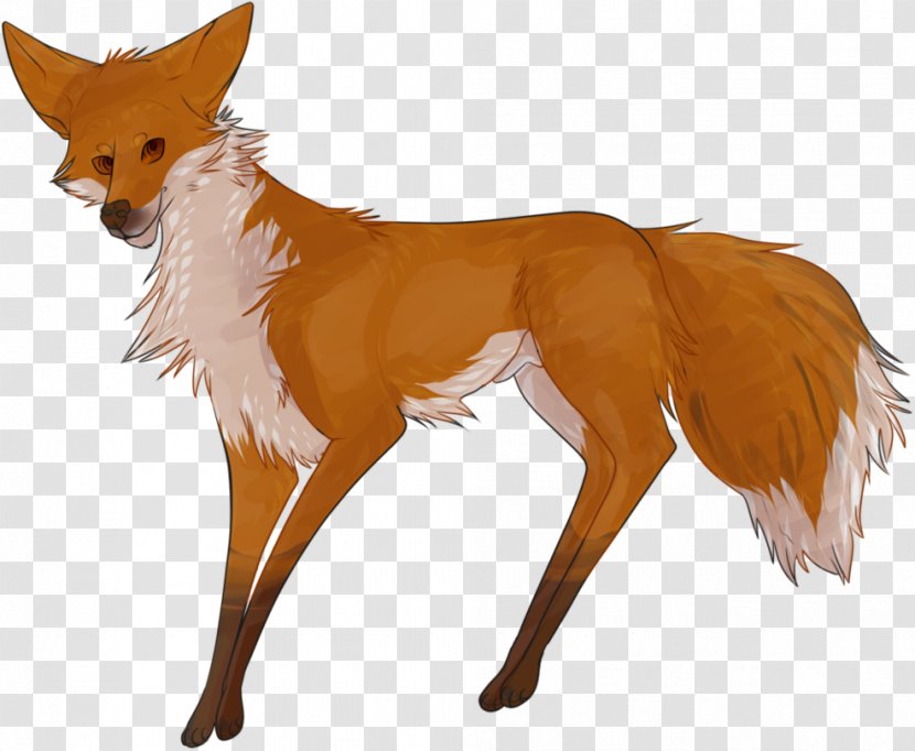 Red Fox Deer Fur News Snout - Tail - Dog Like Mammal Transparent PNG