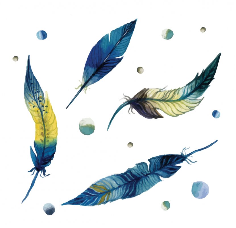 Watercolor Painting Feather Watercolour Flowers Vector Graphics Image - Dreamcatcher Transparent PNG