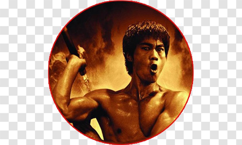 Bruce Lee - Tree - The Fighter Desktop Wallpaper WallpaperBruce Transparent PNG
