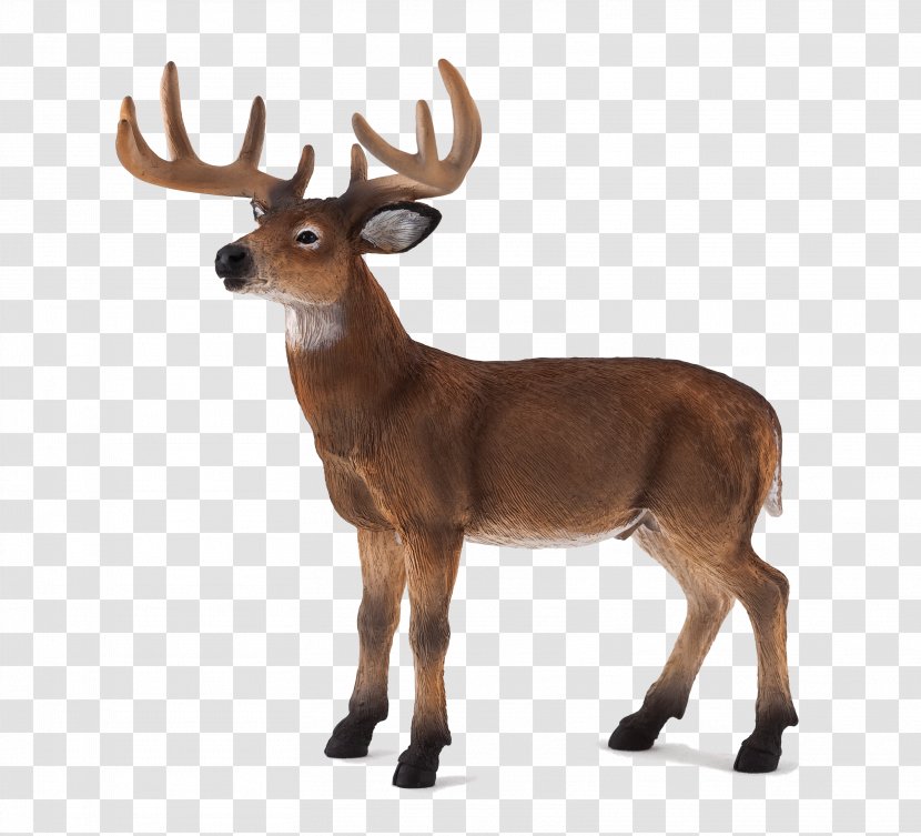 White-tailed Deer Action & Toy Figures Wildlife Transparent PNG
