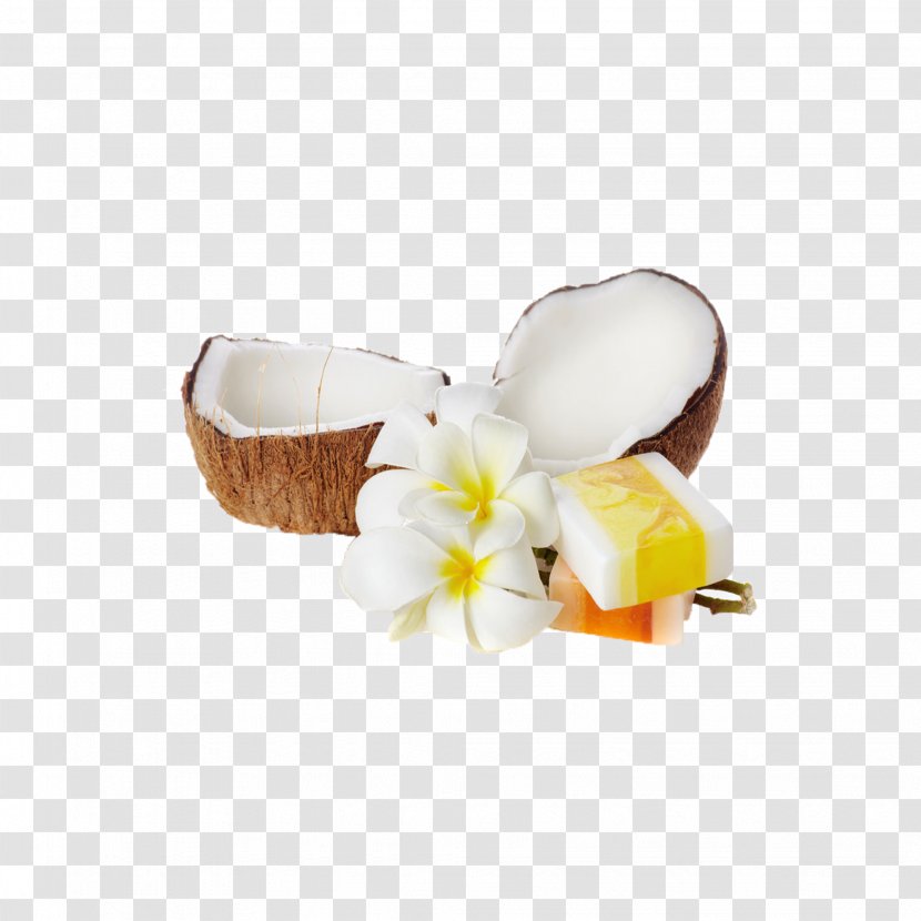 Soap Coconut Oil - Dessert - Natural Transparent PNG