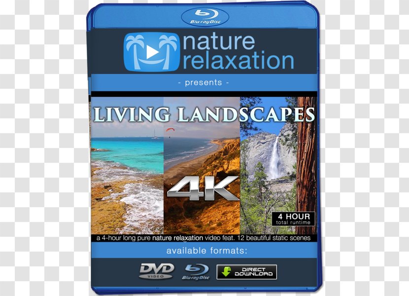 4K Resolution Display Ultra-high-definition Television High-definition Video - 4k Uhd Transparent PNG
