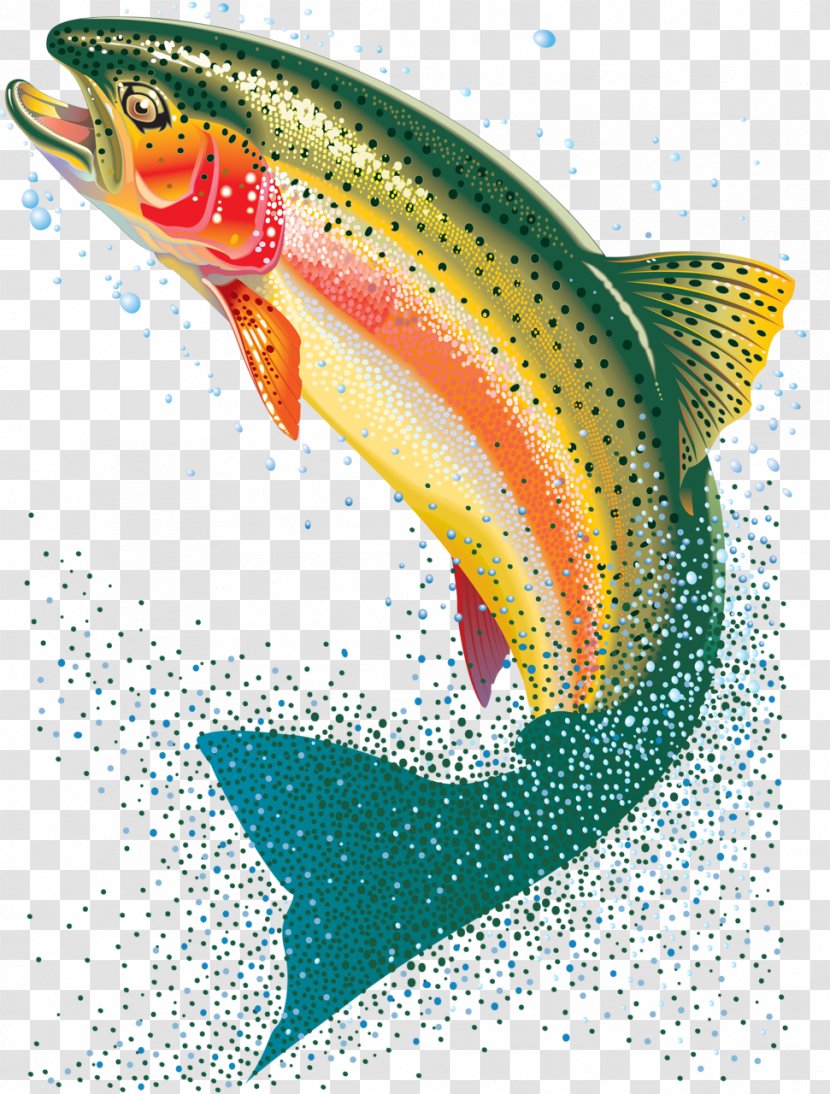 Fish Rainbow Trout Painting Clip Art - Oncorhynchus Transparent PNG