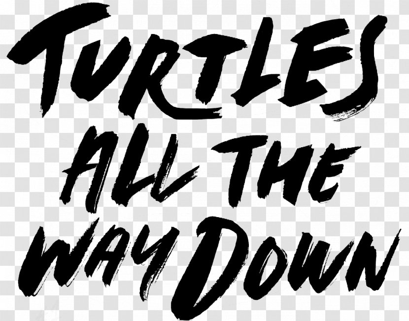 Turtles All The Way Down Fault In Our Stars Hardcover Looking For Alaska Young Adult Fiction - New York Times Best Seller List - Book Transparent PNG