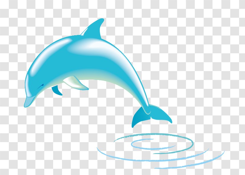 Spinner Dolphin Common Bottlenose Clip Art - Delfin Transparent PNG