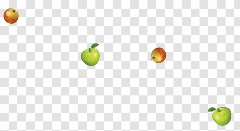 Granny Smith Desktop Wallpaper Citrus Apple Computer - Fruit Transparent PNG