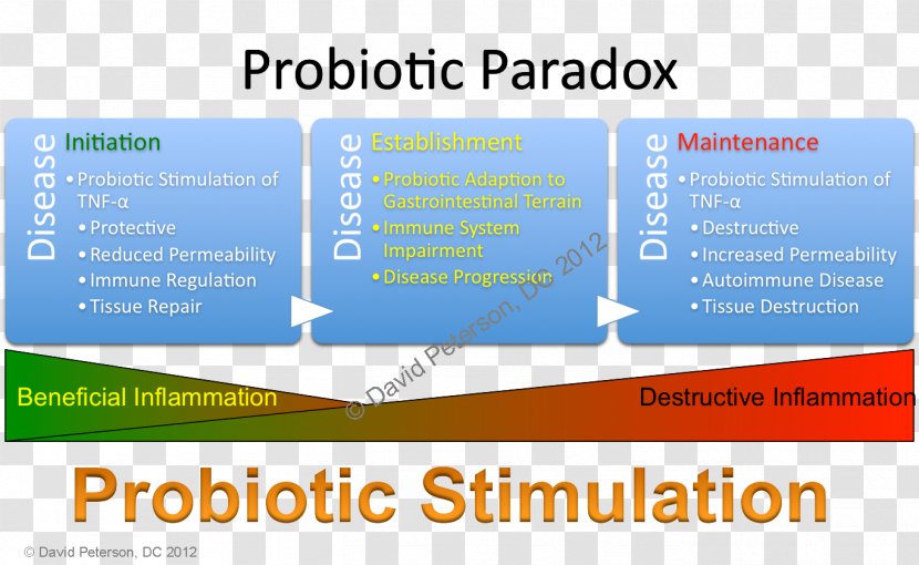 Probiotic Yakult Food Bacteria Side Effect - Affect Transparent PNG