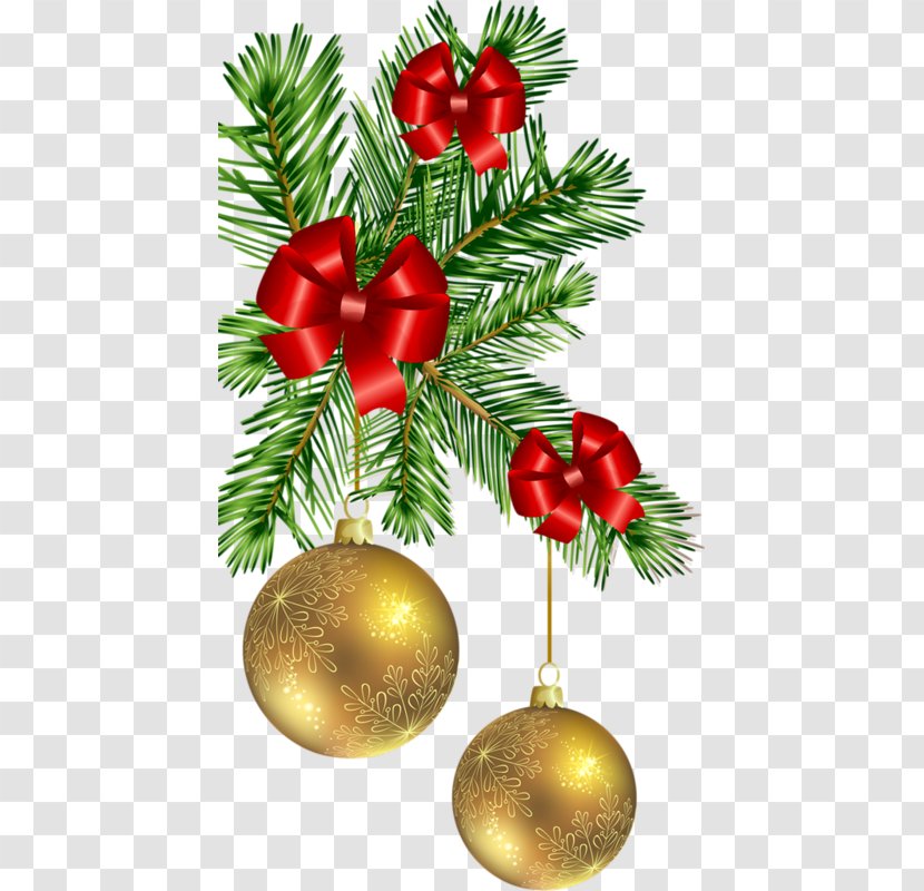 Christmas Ornament New Year Tree Advent Wreath - Conifer Transparent PNG