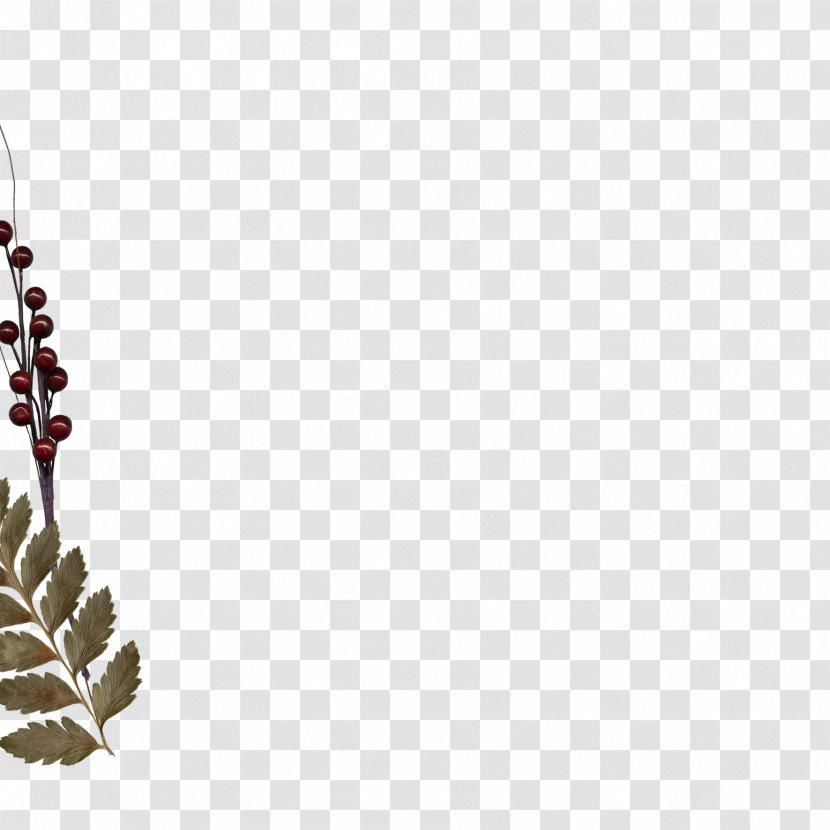Leaf Twig Body Jewellery Pine - Branch - Parterre Transparent PNG