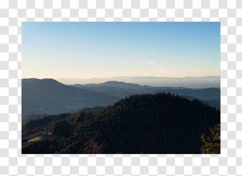 Mount Scenery Alps Hill Station Kolej Tuanku Ja'afar Panorama - Morning - Tree Transparent PNG