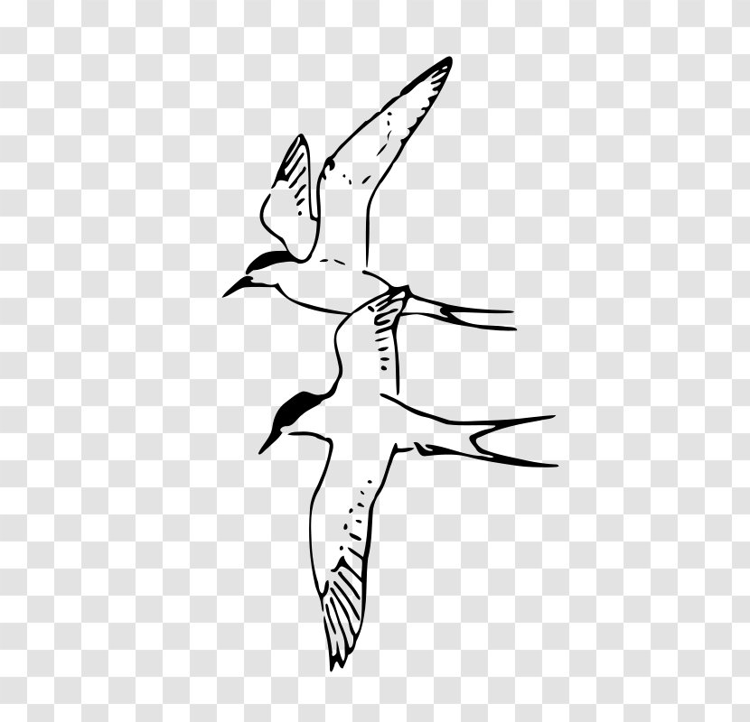 Arctic Tern Clip Art - Monochrome - Pan Clipart Transparent PNG