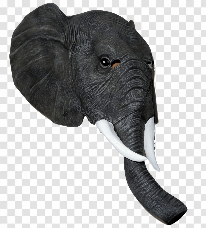 Indian Elephant African Mask Elephantidae Costume - Terrestrial Animal Transparent PNG