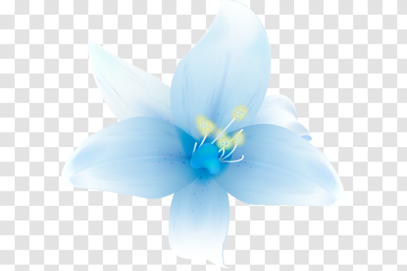 Flower Lilium Clip Art - Photography - Blue Transparent PNG