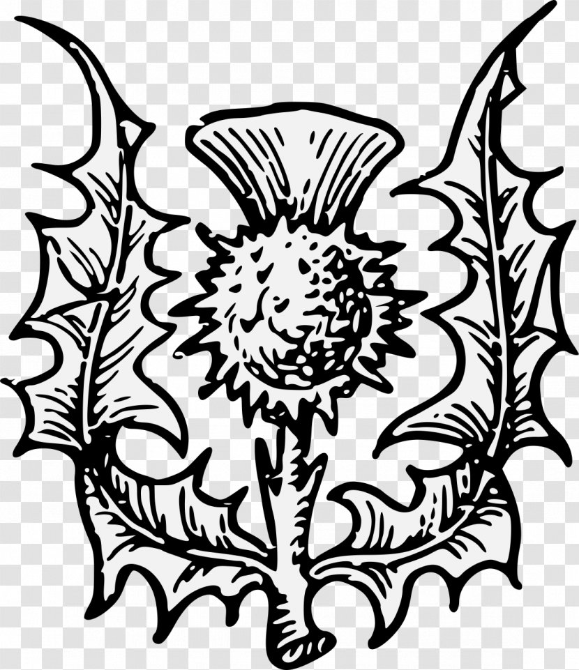 Scotland Complete Guide To Heraldry Thistle Onopordum Acanthium - Symmetry - Heraldic Transparent PNG