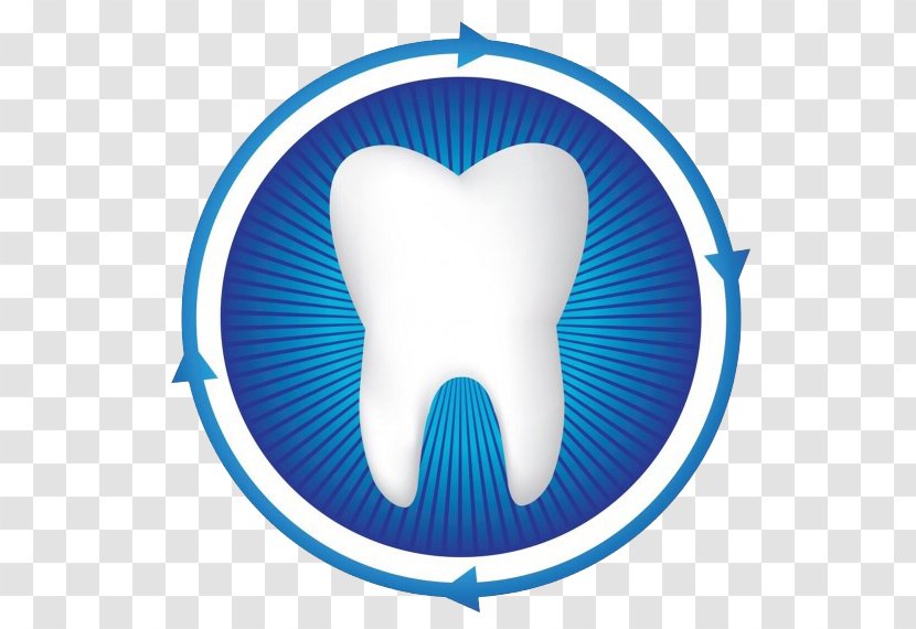 Dentistry Human Tooth Periodontology - Frame - Health Transparent PNG