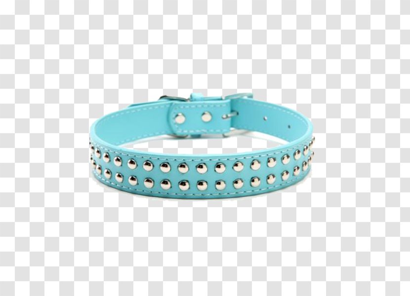 Dog Collar Turquoise Leather Transparent PNG
