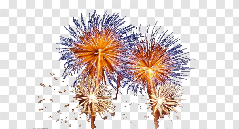 Fireworks Photography Artificier Clip Art - Cartoon Transparent PNG