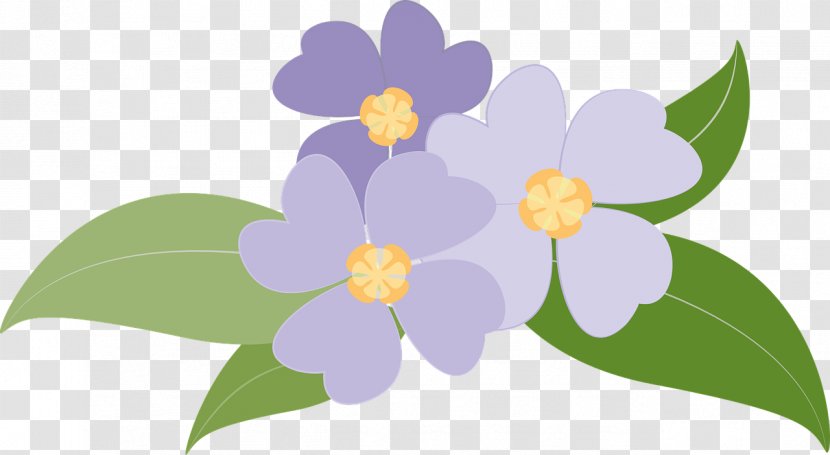 Flower Purple - Petal - Violet Transparent PNG
