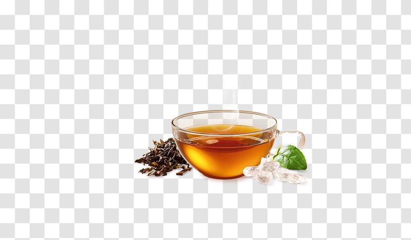 Assam Tea Darjeeling Mate Cocido Oolong - Earl Grey Transparent PNG