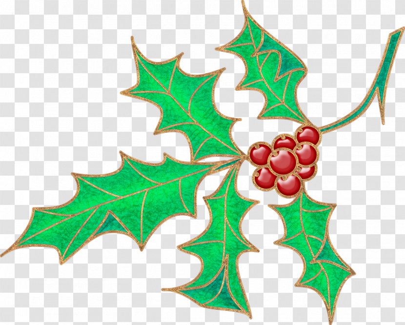 Holly Aquifoliales Christmas Ornament Clip Art - Fruit Transparent PNG