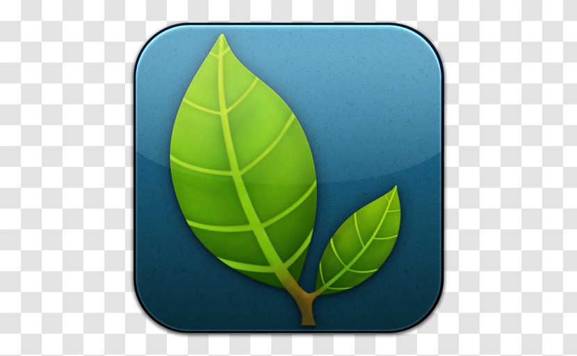 Plant Tennis Ball Leaf Football - MindNode Transparent PNG