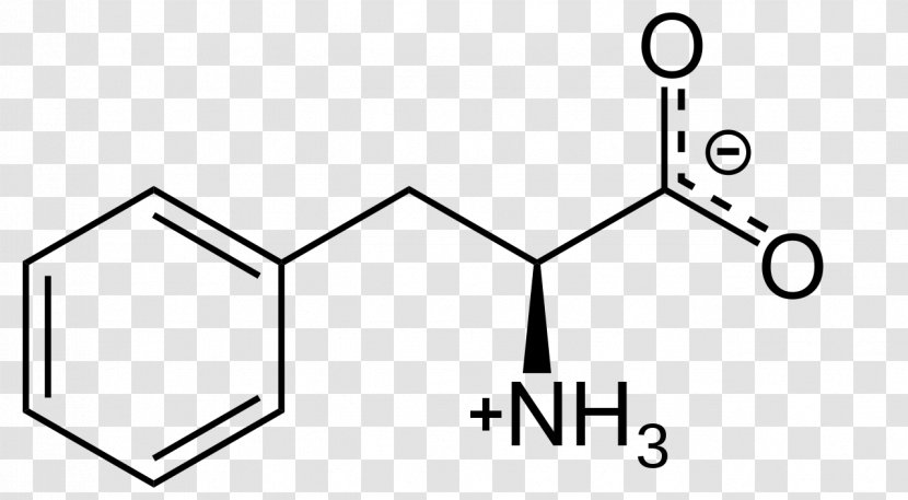 Levodopa Tyrosine Phenylalanine Phenylketonuria Amino Acid - Racemase Transparent PNG
