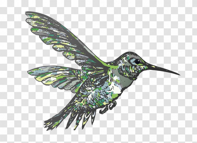 Hummingbird Clip Art - Silhouette Transparent PNG